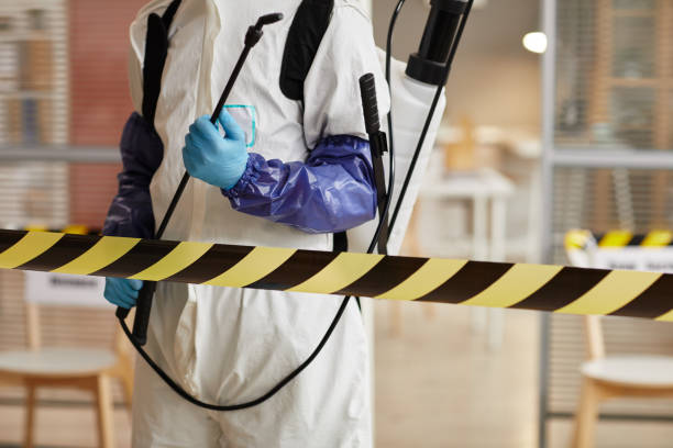 Professional Hoarding Cleanup technician working in Upland, NE
